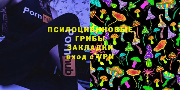 ешки Белокуриха