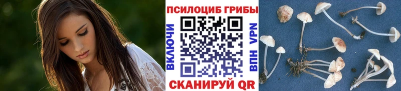 Галлюциногенные грибы ЛСД  что такое   Вятские Поляны 