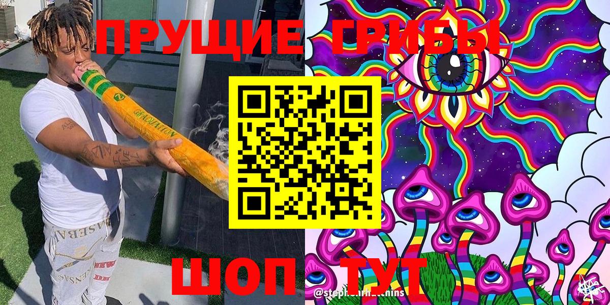 Вятские Поляны  Галлюциногенные грибы ЛСД  Вход с VPN 